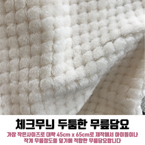 무릎담요 밍크담요 담요제작 치마담요 망토담요 차량용담요 답례품 블랭킷 체크무늬담요 복합사 무릎담요제작 방석 평직 겨울담요
