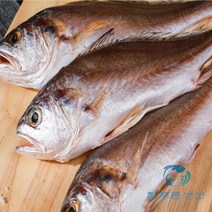반건조 침조기 손질 되어 먹기 편한 신안 천일염으로 간이 되어 있는 침조기 긴가이석태 10마리 말린생선, 23cm 10마리