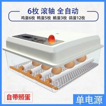 부화기 입문용 2021년 신상품 조류 자동 부화 병아리 계란부화기 36란 실험, 17. 계란부화기 6란