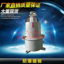 콘센트플러그 AC16 알루미늄 합금 방폭 16A 220 380V 2269513022, 1, AC-16A (220V )빗꽂이
