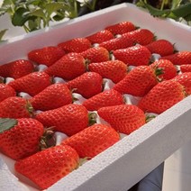 비타베리 딸기, 1.2kg, 1개
