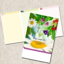 주보용지 3단 주보 교회 예배 주보인쇄 기성 디자인 칼라 청년부 주보 제작 기독교용품, EW-31