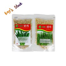 보리 씨앗 귀리 씨앗 새싹 2종 종자 홈 가드닝 케이스스탁, 보리(5봉)
