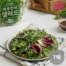 [다신샵] 3회세척 신선한 하루한끼 샐러드 믹스/ 6가지야채, 7팩