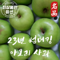 국산 햇사과 아오리 여름사과 썸머킹 풋사과 청사과 5kg, 가정용 아오리사과(중과) 5kg, 1개