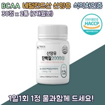 정타입 BCAA WPI 로이신 필수아미노산 네덜란드산 산양유 고트밀크 헬스 운동 전 후 단백질많은음식 유청단백 2통 60정