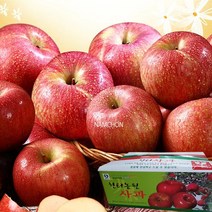 [충주사과] 햇사과 홍로사과 4.5kg (15~17과), 1box