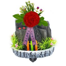 한반도농원 C9. 소나무타원1호(흰색) 카네이션 숯분재 생일선물 답례품 체험학습용, 1개