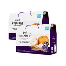 건강즙 감기 기력회복 면역영양제 면역비타민 부모님건강식품 여름철선물 도라지배즙 2박스(60포), 2박스 (60포입) 도라지배즙