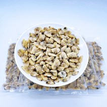 강동유통 냉동 깐바지락 자숙 바지락살 [100g 당 995원], 5kg, [업소용]