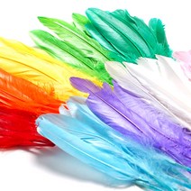 (R)칼라 새 깃털(대)10개 18cm-20cm 거위깃털, 초록