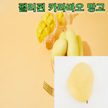 프리미엄 필리핀 카라바오 망고 2kg 5kg 골드 망고 골드 무지개 망고 태국 망고 선물세트