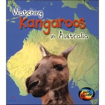 Wildlife Around the World: Watching Kangaroos in Australia (First Library: Wild World), Heinemann Library