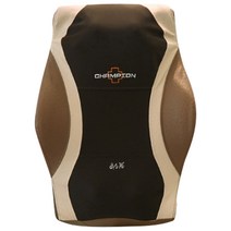 챔피온 MVP 안마기 CE-1100RA
