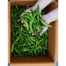알뜰농장 국내산 파랑이 청양고추 최상품 2kg/5kg/10kg내외, 1개, 국내산 파랑이 청양고추 최상품 5kg내외