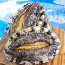 완도활전복 사이즈모음전 산소팩[평일4시주문 배송], [ C ]  10-12미 1kg