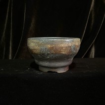 예운: 무늬 원형분 용인수다육