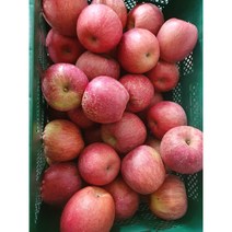 경북안동 햇사과 못난이 꿀사과 부사사과 2kg 5kg 10kg, 2kg 사과, 소과