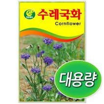 [토단] 대용량 수레 국화 씨앗 100g