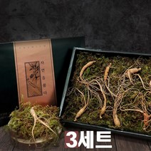 경성건강원 강원도 자연산 산양산삼 건강 진세노사이드 사포닌 면역력 증진 피로회복 산삼효능 부모님 선물세트, 3개, 8뿌리