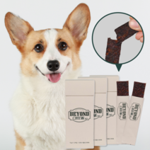 닥터바이 비욘드츄2.0 식물성 강아지 간식 반려견 다이어트 덴탈 껌 대체육 덴탈껌, 버섯맛, 120g, 1세트