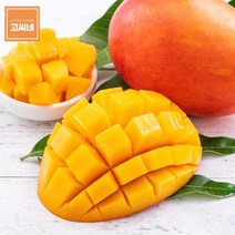 고씨네 특급 사과망고1kg 망고 사과망고 수입망고애플망고 망고포도 애플망고자르는법 냉동망고 망고효능 애플망고후숙 태국망고 제주애플망고 망고쇼핑몰 망고선물세트 제주망고 무지개망고 골드망고 제주도망고 제주도애플망고 애플망고효능 필리핀망고 아이스망고 대만애플망고 카라바, 본상품, 상세페이지 참조