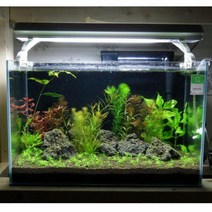 라라 수초어항 풀세트 600 (가로 60 x 폭 35cm)-라라아쿠아, 단품