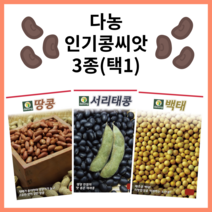 주주씨앗 다농 인기콩씨앗 3종 / 서리태 백태 땅콩 종자 씨 / 메주콩 검은 서리태콩 땅콩 씨, 다농인기콩씨앗3종세트