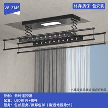 자동 미니 스텐 베란다 행주 대형 전동건조대 스마트리모콘 발코니 건조대 가정용건조대 쿨링건조대, 05 8ZMS블랙미가app지적 제어