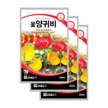 꽃 양귀비 씨앗 2000립 3봉 개양귀비 종자 노지월동 다년생 꽃씨 shirley poppy, 7봉