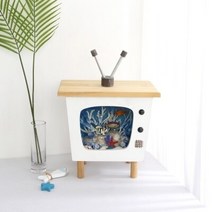 여름 풍경 TV (소-46cm)