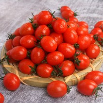 기타 2023 오색 칵테일 토마토 5kg, 1