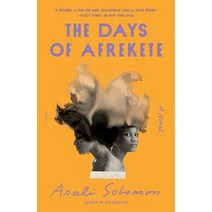 (영문도서) The Days of Afrekete Paperback, Picador USA, English, 9781250858832