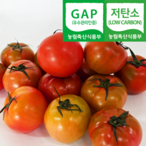 (자연마을) GAP저탄소 대저 찰토마토 2.5kg S M, GAP저탄소 대저 찰토마토 2.5kg M