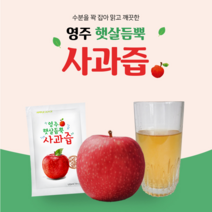 주니성 영주햇살듬뿍 사과즙 100ml(30팩 50팩 80+5팩), 80+5개입, 5개