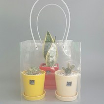 투명 비닐 쇼핑백 대형-화분 꽃다발 비닐 가방 SCU52