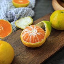제주 서귀포 노지 감귤 밀감 박스포함 5kg 10kg, 9kg(대과)