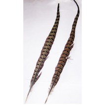 만들기/꿩깃털/길이38cm 2개/동화구연 연극 모자장식/