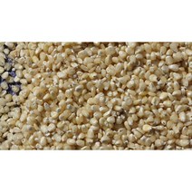 산지직송 정선 고랭지 햇옥수수 찰옥수수알(뻥튀기용) 1kg, 1개