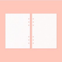핑크 그리드 모눈 베이직 다이어리 속지 리필 꾸미기 6공 예쁜 만들기 시스템 회사 위클리플래너 육공 스프링 나만의 내지 A5 플래너 6공내지 스터디플래너 먼슬리 2020 맞춤 선물용