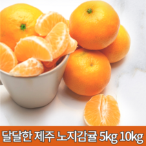 제주귤10키로 껍질얇은귤 제주 감귤 10키로 5키로 저농약귤 서귀포 맛좋은감귤 노지귤10키로 당도높은귤 싱싱한 꼬마귤 못난이 풋귤 로얄과 중대과 5kg 10kg, 감귤 5kg 로얄과