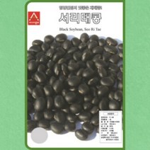 서리태콩 50g /콩씨앗종자