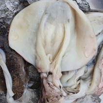 장보리 국내산 손질 갑오징어 1kg (3-4미 내외), 기본상품