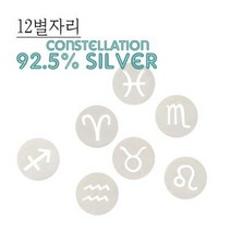 실버 컨스텔레이션 라운드 귀걸이