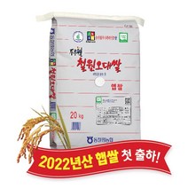 [장흥용두농협찹쌀] 용두농협 찰보리쌀 10kg 순수올곡 2022년산 찰보리 다이어트 전남 장흥