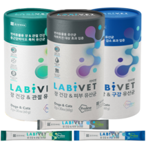 종근당 라비벳 강아지 고양이 유산균, 1.강아지사은품, 1.와그작 하루간식30g_랜덤, 라비벳 장&관절 유산균30P