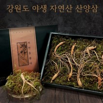 국내산 100% 자연산 산양삼 산삼 야생 산양산삼 야생삼 5년근 6년근 뿌리 정품 강원도 횡성 부모님 추석 설 명절 선물세트 인삼, 1세트, 4뿌리