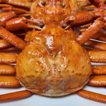 연지홍게 포항 구룡포 홍게 자숙 3kg, 상세페이지 참조, 본상품선택