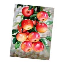 MJS 보석십자수 50 x 40 cm 캔버스형 세트 DIY MH6, F05 - 금전을 부르는홍과, 1세트