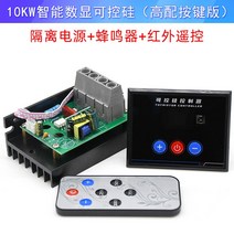 교류 220V 고출력 1000W 실리콘 전자조압기 모터, 옵션10